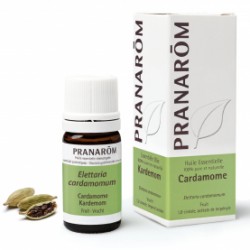 Cardamome HE - 5ml - PHARMACIE VERTE - Herboristerie à Nantes depuis 1942 - Plantes en Vrac - Tisane - EPS - Bourgeon - Mycothér