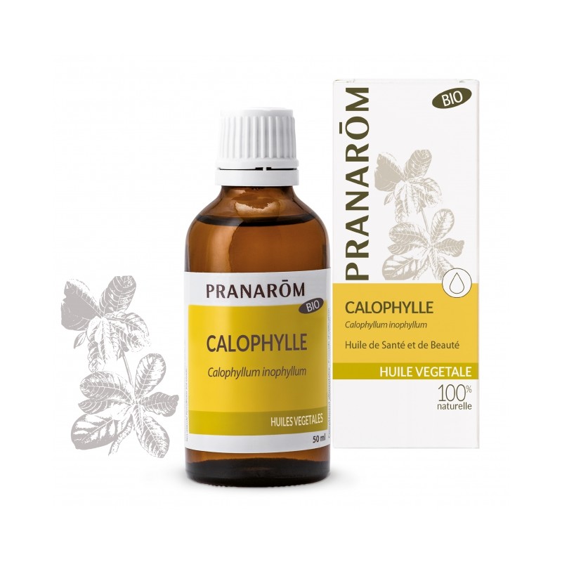 Calophylle - HV Bio - 50ml - PHARMACIE VERTE - Herboristerie à Nantes depuis 1942 - Plantes en Vrac - Tisane - EPS - Bourgeon - Calophylle - HV Bio - 50ml - PHARMACIE VERTE - Herboristerie à Nantes depuis 1942 - Plantes en Vrac - Tisane - EPS - Bourgeon -