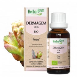 HERBALGEM DERMAGEM - 30ml - PHARMACIE VERTE - Herboristerie à Nantes depuis 1942 - Plantes en Vrac - Tisane - EPS - Bourgeon - M