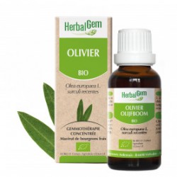 HERBALGEM OLIVIER - 30ml - PHARMACIE VERTE - Herboristerie à Nantes depuis 1942 - Plantes en Vrac - Tisane - EPS - Bourgeon - My