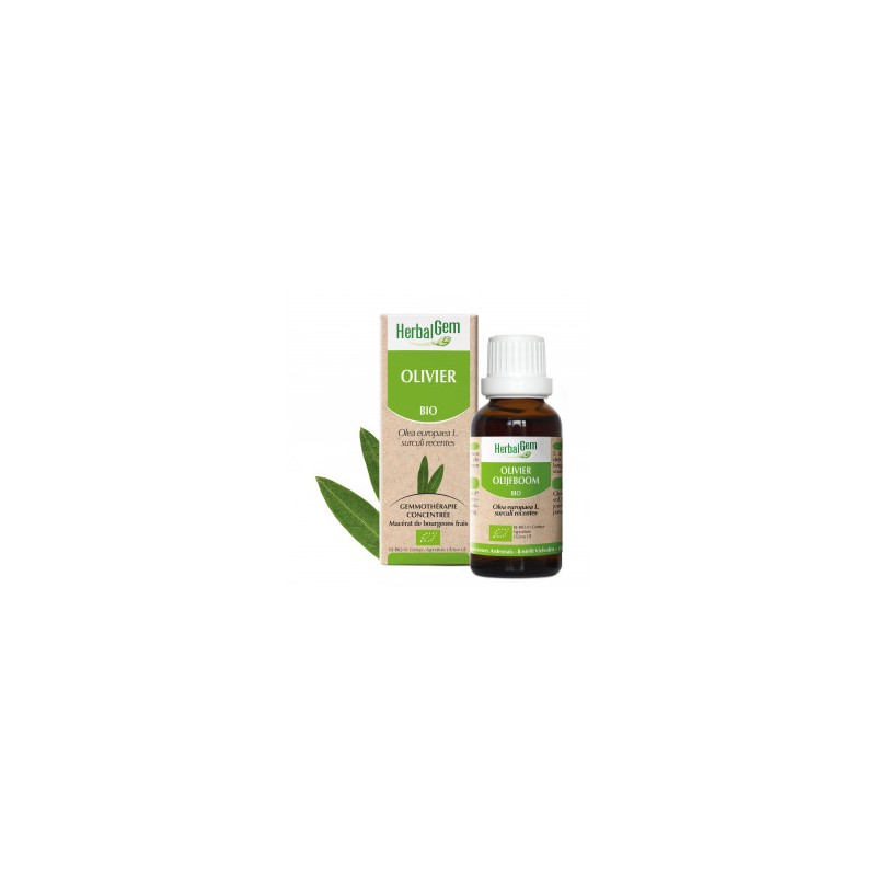 HERBALGEM OLIVIER - 30ml - PHARMACIE VERTE - Herboristerie à Nantes depuis 1942 - Plantes en Vrac - Tisane - EPS - Bourgeon - My HERBALGEM OLIVIER - 30ml - PHARMACIE VERTE - Herboristerie à Nantes depuis 1942 - Plantes en Vrac - Tisane - EPS - Bourgeon - My
