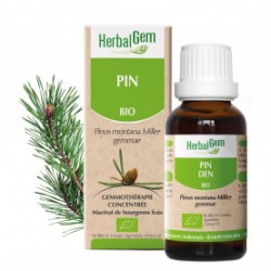 HERBALGEM PIN - 30ml - PHARMACIE VERTE - Herboristerie à Nantes depuis 1942 - Plantes en Vrac - Tisane - EPS - Bourgeon - Mycoth