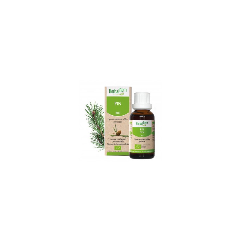 HERBALGEM PIN - 30ml - PHARMACIE VERTE - Herboristerie à Nantes depuis 1942 - Plantes en Vrac - Tisane - EPS - Bourgeon - Mycoth