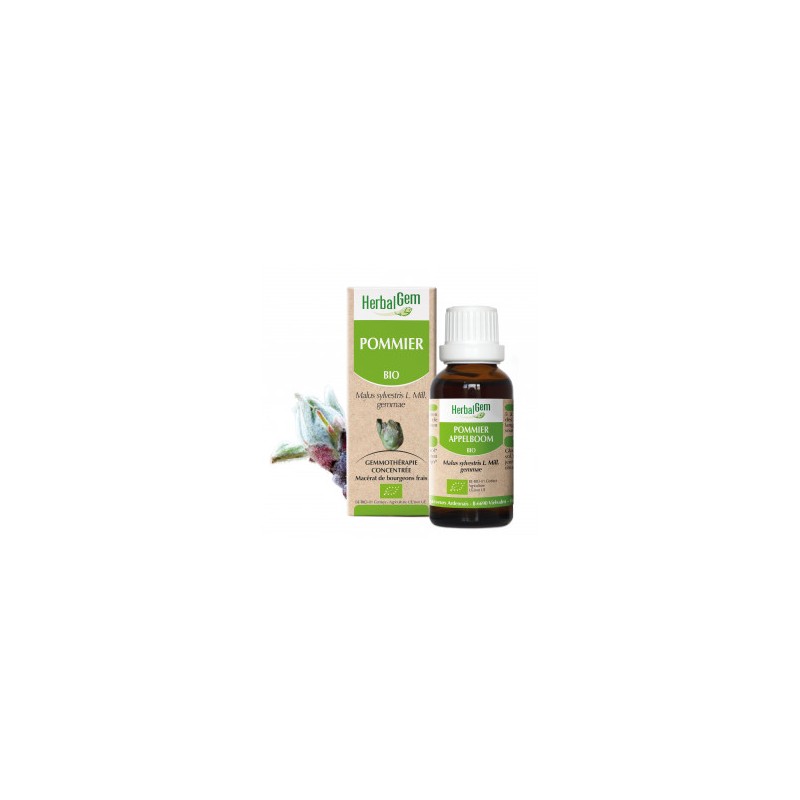 HERBALGEM POMMIER - 30ml - PHARMACIE VERTE - Herboristerie à Nantes depuis 1942 - Plantes en Vrac - Tisane - EPS - Bourgeon - My HERBALGEM POMMIER - 30ml - PHARMACIE VERTE - Herboristerie à Nantes depuis 1942 - Plantes en Vrac - Tisane - EPS - Bourgeon - My