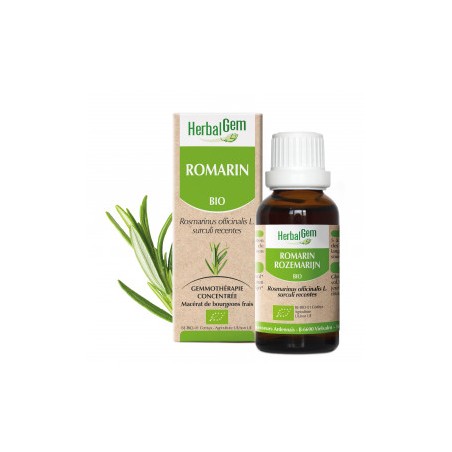 HERBALGEM ROMARIN - 30ml - PHARMACIE VERTE - Herboristerie à Nantes depuis 1942 - Plantes en Vrac - Tisane - EPS - Bourgeon - My
