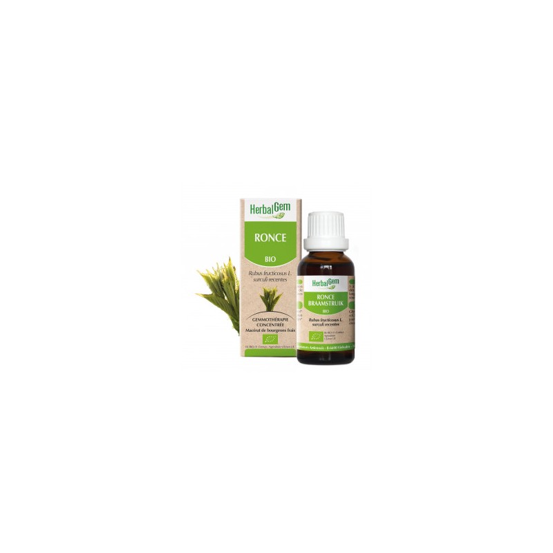 HERBALGEM RONCE - 30ml - PHARMACIE VERTE - Herboristerie à Nantes depuis 1942 - Plantes en Vrac - Tisane - EPS - Bourgeon - Myco HERBALGEM RONCE - 30ml - PHARMACIE VERTE - Herboristerie à Nantes depuis 1942 - Plantes en Vrac - Tisane - EPS - Bourgeon - Myco