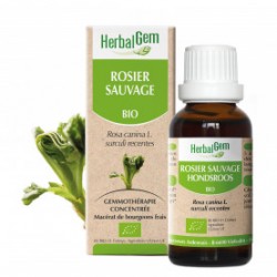 HERBALGEM ROSIER SAUVAGE - 30ml - PHARMACIE VERTE - Herboristerie à Nantes depuis 1942 - Plantes en Vrac - Tisane - EPS - Bourge