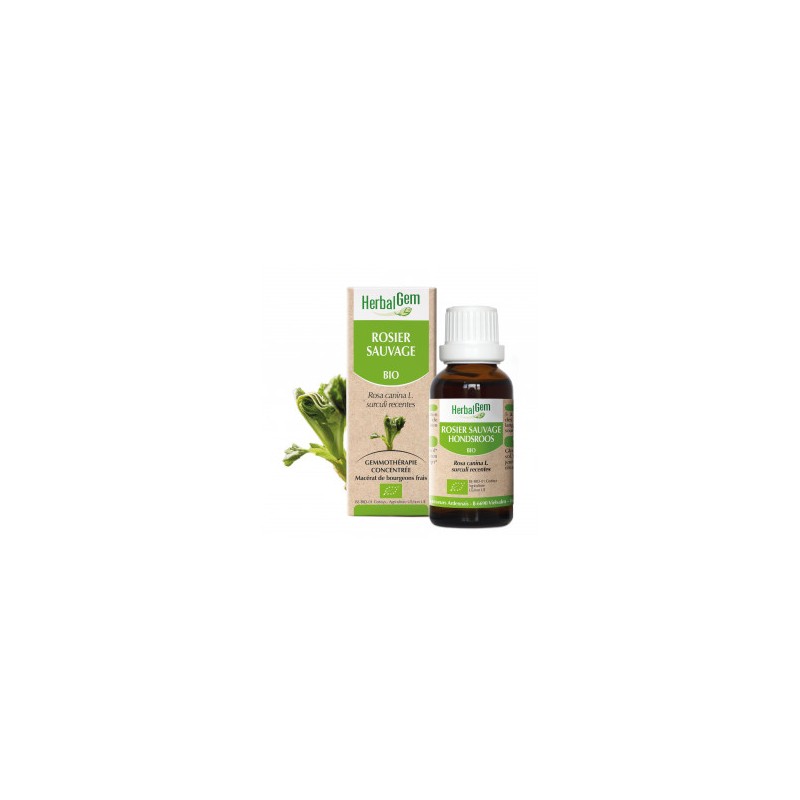 HERBALGEM ROSIER SAUVAGE - 30ml - PHARMACIE VERTE - Herboristerie à Nantes depuis 1942 - Plantes en Vrac - Tisane - EPS - Bourge HERBALGEM ROSIER SAUVAGE - 30ml - PHARMACIE VERTE - Herboristerie à Nantes depuis 1942 - Plantes en Vrac - Tisane - EPS - Bourge
