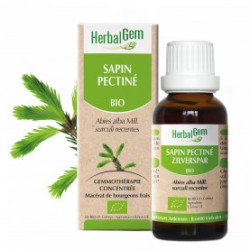 HERBALGEM SAPIN PECTINÉ - 30ml - PHARMACIE VERTE - Herboristerie à Nantes depuis 1942 - Plantes en Vrac - Tisane - EPS - Bourgeo