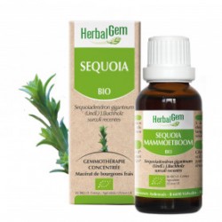 HERBALGEM SÉQUOIA - 30ml - PHARMACIE VERTE - Herboristerie à Nantes depuis 1942 - Plantes en Vrac - Tisane - EPS - Bourgeon - My