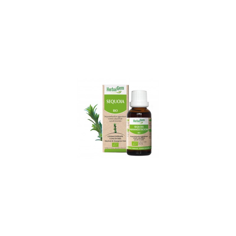 HERBALGEM SÉQUOIA - 30ml - PHARMACIE VERTE - Herboristerie à Nantes depuis 1942 - Plantes en Vrac - Tisane - EPS - Bourgeon - My HERBALGEM SÉQUOIA - 30ml - PHARMACIE VERTE - Herboristerie à Nantes depuis 1942 - Plantes en Vrac - Tisane - EPS - Bourgeon - My