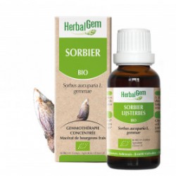 HERBALGEM SORBIER - 30ml - PHARMACIE VERTE - Herboristerie à Nantes depuis 1942 - Plantes en Vrac - Tisane - EPS - Bourgeon - My