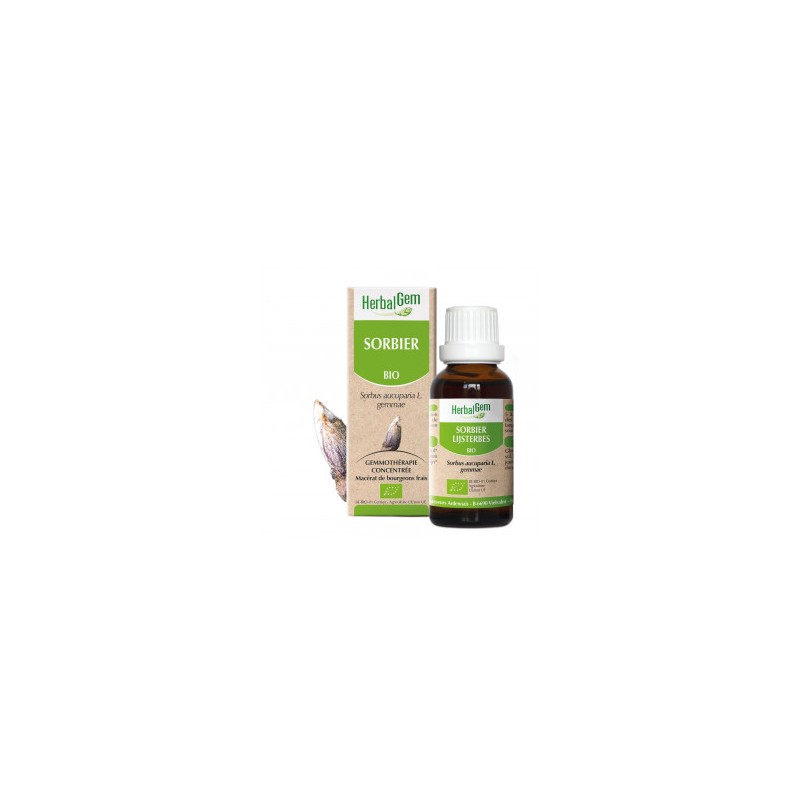 HERBALGEM SORBIER - 30ml - PHARMACIE VERTE - Herboristerie à Nantes depuis 1942 - Plantes en Vrac - Tisane - EPS - Bourgeon - My HERBALGEM SORBIER - 30ml - PHARMACIE VERTE - Herboristerie à Nantes depuis 1942 - Plantes en Vrac - Tisane - EPS - Bourgeon - My