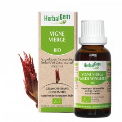 HERBALGEM VIGNE VIERGE - 30ml - PHARMACIE VERTE - Herboristerie à Nantes depuis 1942 - Plantes en Vrac - Tisane - EPS - Bourgeon