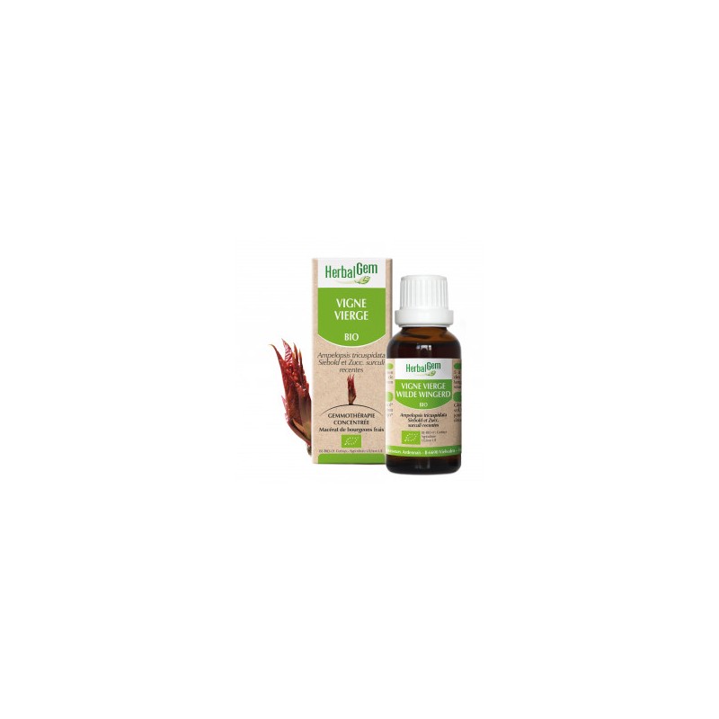 HERBALGEM VIGNE VIERGE - 30ml - PHARMACIE VERTE - Herboristerie à Nantes depuis 1942 - Plantes en Vrac - Tisane - EPS - Bourgeon HERBALGEM VIGNE VIERGE - 30ml - PHARMACIE VERTE - Herboristerie à Nantes depuis 1942 - Plantes en Vrac - Tisane - EPS - Bourgeon