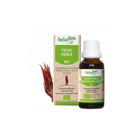 HERBALGEM VIGNE VIERGE - 30ml - PHARMACIE VERTE - Herboristerie à Nantes depuis 1942 - Plantes en Vrac - Tisane - EPS - Bourgeon