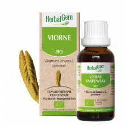 HERBALGEM VIORNE - 30ml - PHARMACIE VERTE - Herboristerie à Nantes depuis 1942 - Plantes en Vrac - Tisane - EPS - Bourgeon - Myc