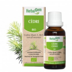 HERBALGEM CEDRE - 30ml - PHARMACIE VERTE - Herboristerie à Nantes depuis 1942 - Plantes en Vrac - Tisane - EPS - Bourgeon - Myco