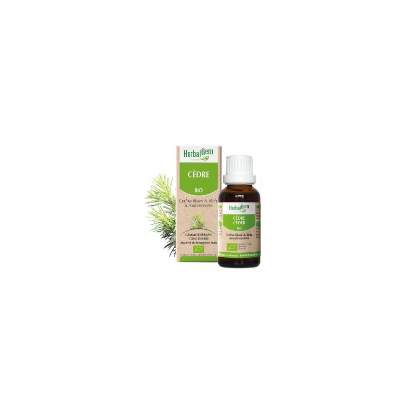 HERBALGEM CEDRE - 30ml - PHARMACIE VERTE - Herboristerie à Nantes depuis 1942 - Plantes en Vrac - Tisane - EPS - Bourgeon - Myco