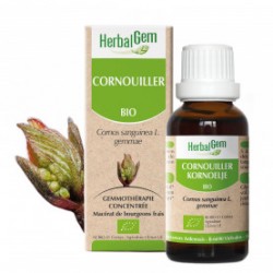 HERBALGEM CORNOUILLER - 30ml - PHARMACIE VERTE - Herboristerie à Nantes depuis 1942 - Plantes en Vrac - Tisane - EPS - Bourgeon 