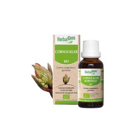 HERBALGEM CORNOUILLER - 30ml - PHARMACIE VERTE - Herboristerie à Nantes depuis 1942 - Plantes en Vrac - Tisane - EPS - Bourgeon 