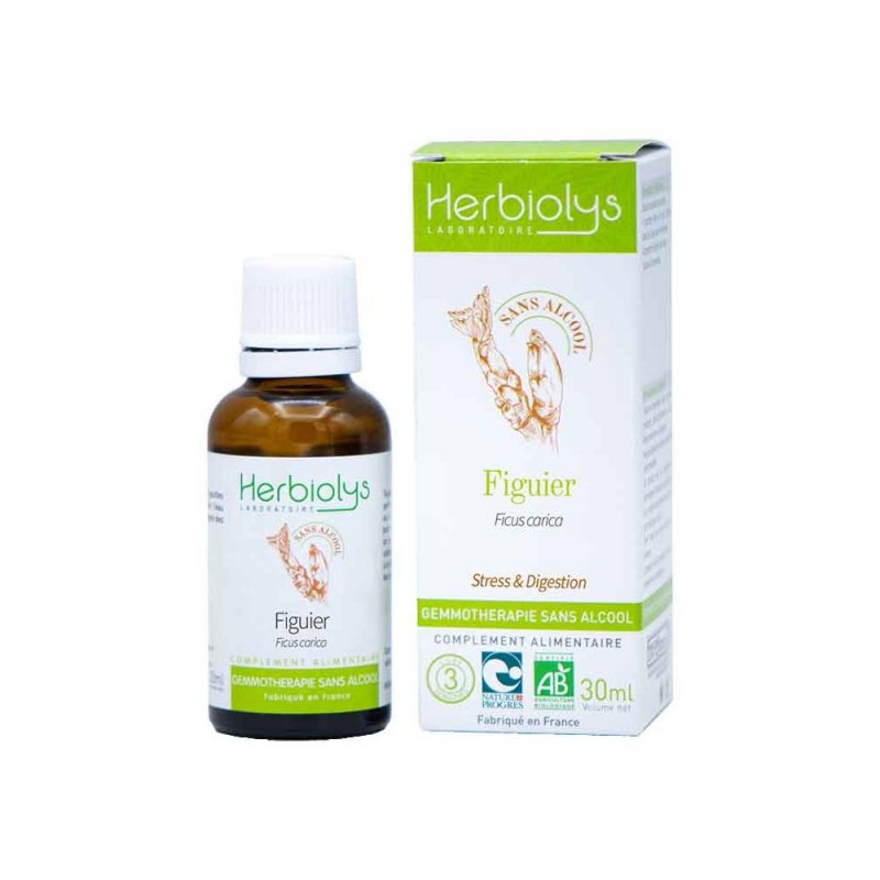Bourgeon Figuier Bio Sans Alcool - Flacon 30ml - PHARMACIE VERTE - Herboristerie à Nantes depuis 1942 - Plantes en Vrac - Tisane Bourgeon Figuier Bio Sans Alcool - Flacon 30ml - PHARMACIE VERTE - Herboristerie à Nantes depuis 1942 - Plantes en Vrac - Tisane