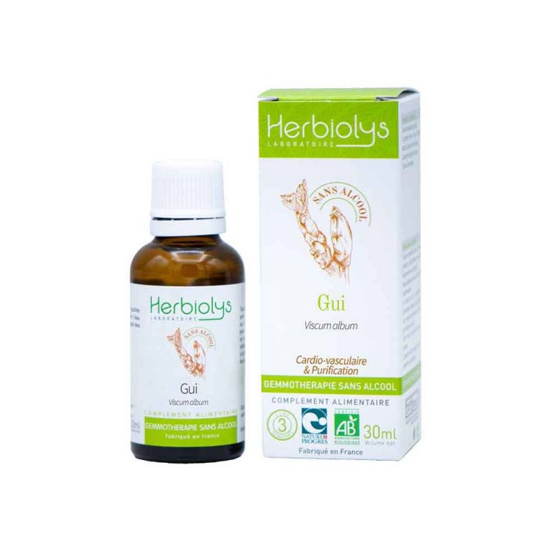 Bourgeon Gui Bio Sans Alcool - Flacon 30ml - PHARMACIE VERTE - Herboristerie à Nantes depuis 1942 - Plantes en Vrac - Tisane - E