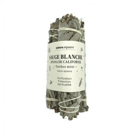 Sauge Blanche Apiana de Californie - lot de 3 minis torches - PHARMACIE VERTE - Herboristerie à Nantes depuis 1942 - Plantes en 