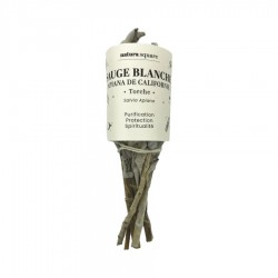 Sauge Blanche Apiana de Californie - Torche - PHARMACIE VERTE - Herboristerie à Nantes depuis 1942 - Plantes en Vrac - Tisane - 