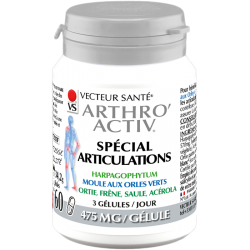 Arthro'Activ Harpagophytum - 60 Gélules - PHARMACIE VERTE - Herboristerie à Nantes depuis 1942 - Plantes en Vrac - Tisane - EPS 