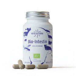 Bio Intestin - 60 capsules - PHARMACIE VERTE - Herboristerie à Nantes depuis 1942 - Plantes en Vrac - Tisane - EPS - Bourgeon - 