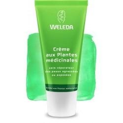 Crème aux Plantes Médicinales- Skin Fook - 30ml - PHARMACIE VERTE - Herboristerie à Nantes depuis 1942 - Plantes en Vrac - Tisan