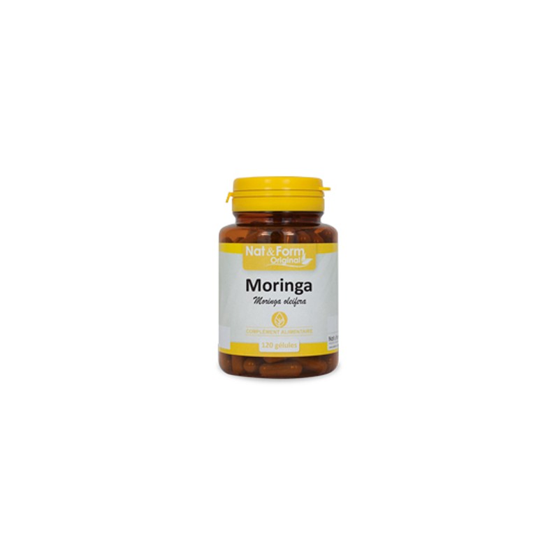 Moringa - 200 Gélules - PHARMACIE VERTE - Herboristerie à Nantes depuis 1942 - Plantes en Vrac - Tisane - EPS - Bourgeon - Mycot Moringa - 200 Gélules - PHARMACIE VERTE - Herboristerie à Nantes depuis 1942 - Plantes en Vrac - Tisane - EPS - Bourgeon - Mycot