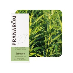 Estragon HE - 5ml - PHARMACIE VERTE - Herboristerie à Nantes depuis 1942 - Plantes en Vrac - Tisane - EPS - Bourgeon - Mycothéra