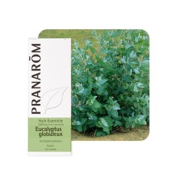 Eucalyptus Globuleux HE - 10ml - PHARMACIE VERTE - Herboristerie à Nantes depuis 1942 - Plantes en Vrac - Tisane - EPS - Bourgeo