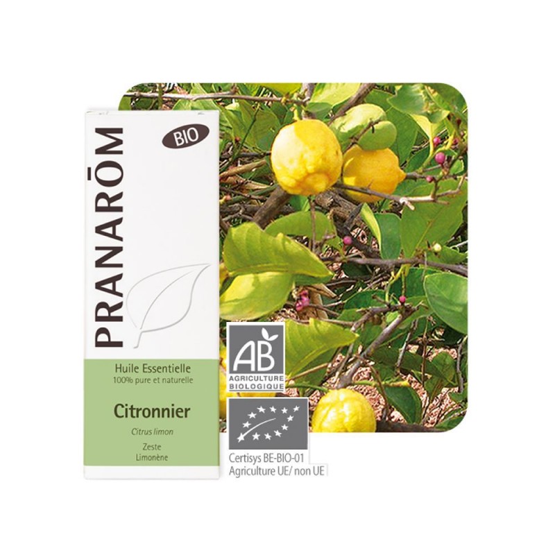 Citronnier Zeste Bio HE - 10ml - PHARMACIE VERTE - Herboristerie à Nantes depuis 1942 - Plantes en Vrac - Tisane - EPS - Bourgeo