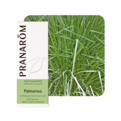 Palmarosa HE Bio - 10ml - PHARMACIE VERTE - Herboristerie à Nantes depuis 1942 - Plantes en Vrac - Tisane - EPS - Bourgeon - Myc