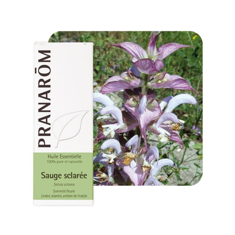 Sauge Sclarée HE - 10ml - PHARMACIE VERTE - Herboristerie à Nantes depuis 1942 - Plantes en Vrac - Tisane - EPS - Bourgeon - Myc Sauge Sclarée HE - 10ml - PHARMACIE VERTE - Herboristerie à Nantes depuis 1942 - Plantes en Vrac - Tisane - EPS - Bourgeon - Myc
