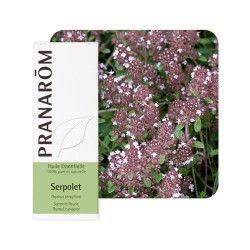 Serpolet HE - 5ml - PHARMACIE VERTE - Herboristerie à Nantes depuis 1942 - Plantes en Vrac - Tisane - EPS - Bourgeon - Mycothéra