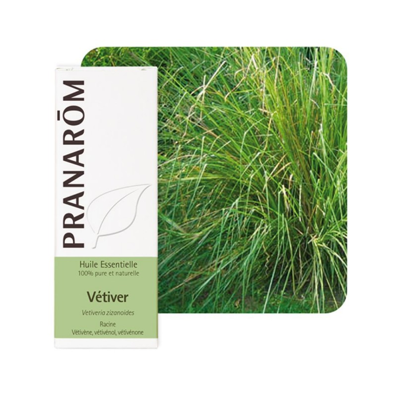 Vetiver HE - 5ml - PHARMACIE VERTE - Herboristerie à Nantes depuis 1942 - Plantes en Vrac - Tisane - EPS - Bourgeon - Mycothérap