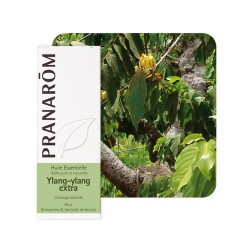 Ylang Ylang Extra HE - 5ml - PHARMACIE VERTE - Herboristerie à Nantes depuis 1942 - Plantes en Vrac - Tisane - EPS - Bourgeon - 