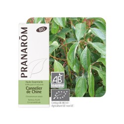 Cannelier de Chine HE - 10ml - PHARMACIE VERTE - Herboristerie à Nantes depuis 1942 - Plantes en Vrac - Tisane - EPS - Bourgeon