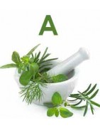Catégorie A - Herboristerie depuis 1942 - Nantes - EPS - gemmotherapie - aromatherapie - plante en vrac : Absinthe grande som...