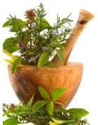 Catégorie T - PHARMACIE VERTE - Herboristerie à Nantes : Thé Vert Feuille , Thym Extra Mondé Provence , Thym Citron , Tilleul...