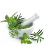 Catégorie V - PHARMACIE VERTE - Herboristerie à Nantes : Valériane Racine Coupée , Verge d'Or (Solidage) Plante Coupée , Ver...