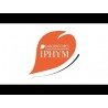 IPHYM