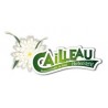 CAILLEAU